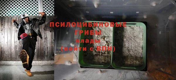 спайс Белокуриха