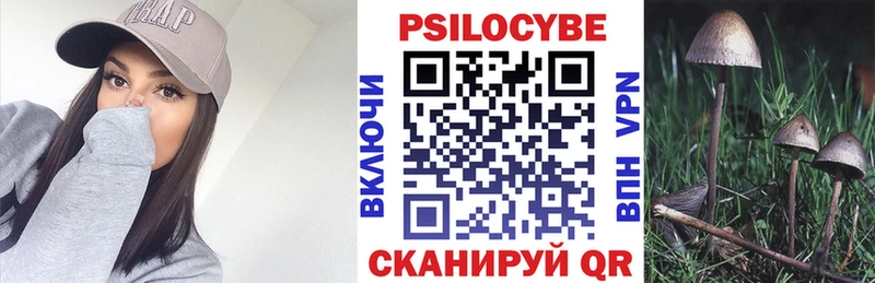Галлюциногенные грибы мицелий  купить наркоту  гидра зеркало  Велиж 